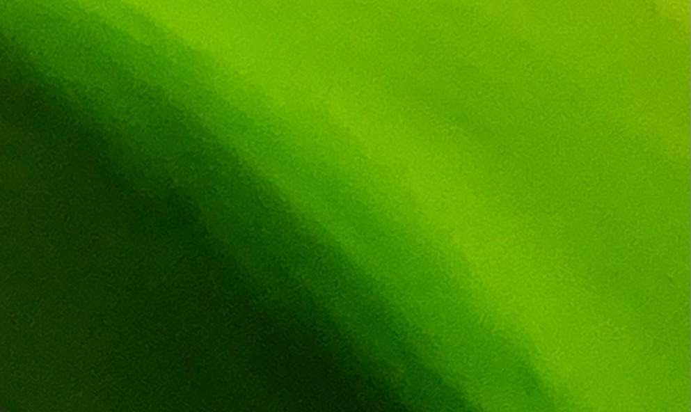 greenarccard
