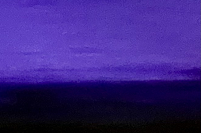 purplecardrow