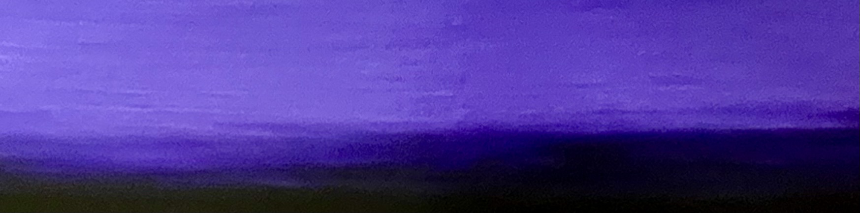 purplerowlong